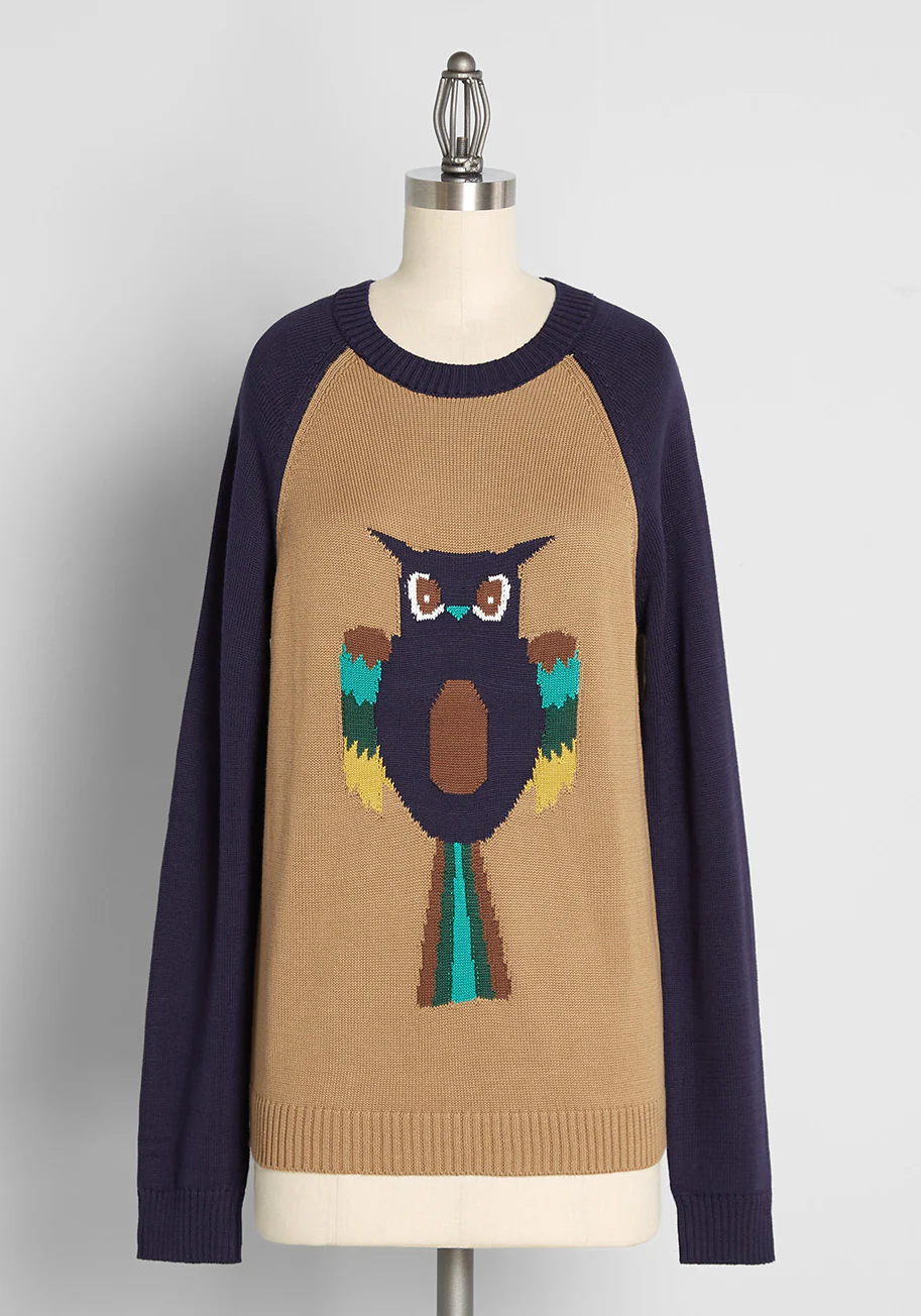 Owl-ways On My Mind Pullover Sweater - Olabens