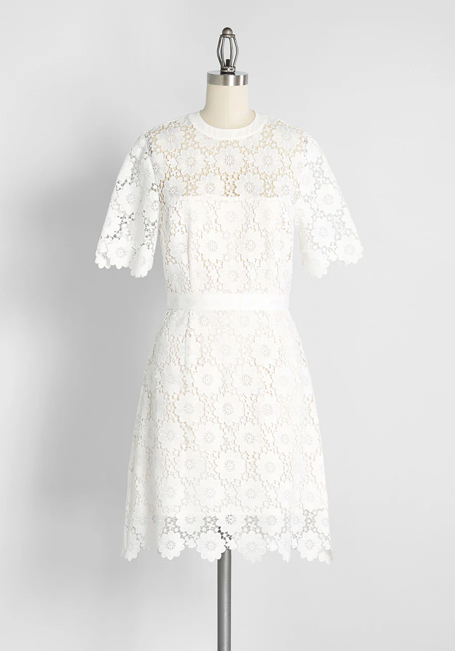 In Delicate Detail Mini Dress - Olabens