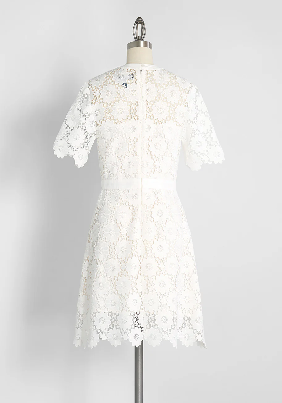 In Delicate Detail Mini Dress - Olabens