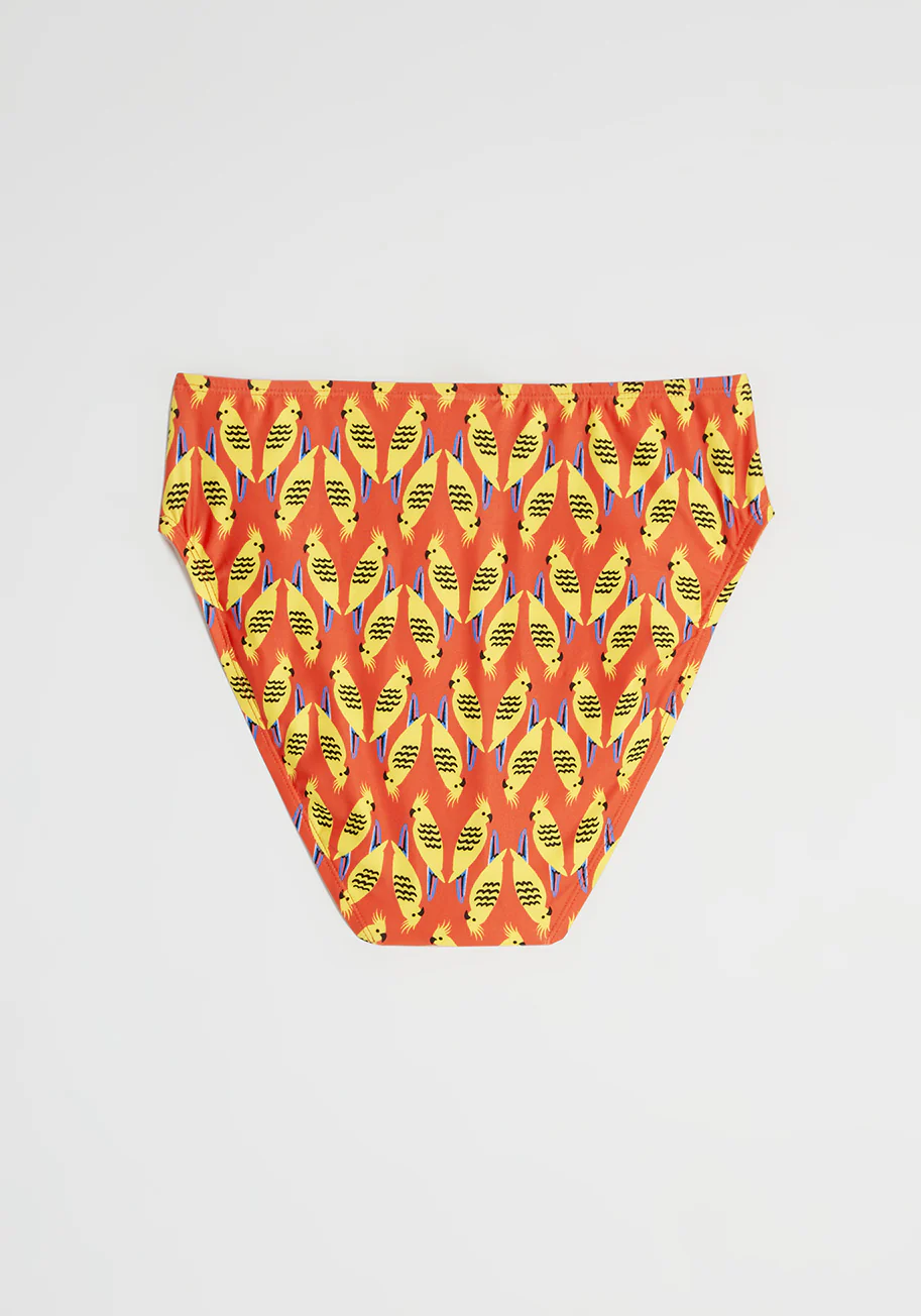 The Franky High-Waisted Bikini Bottom - Olabens