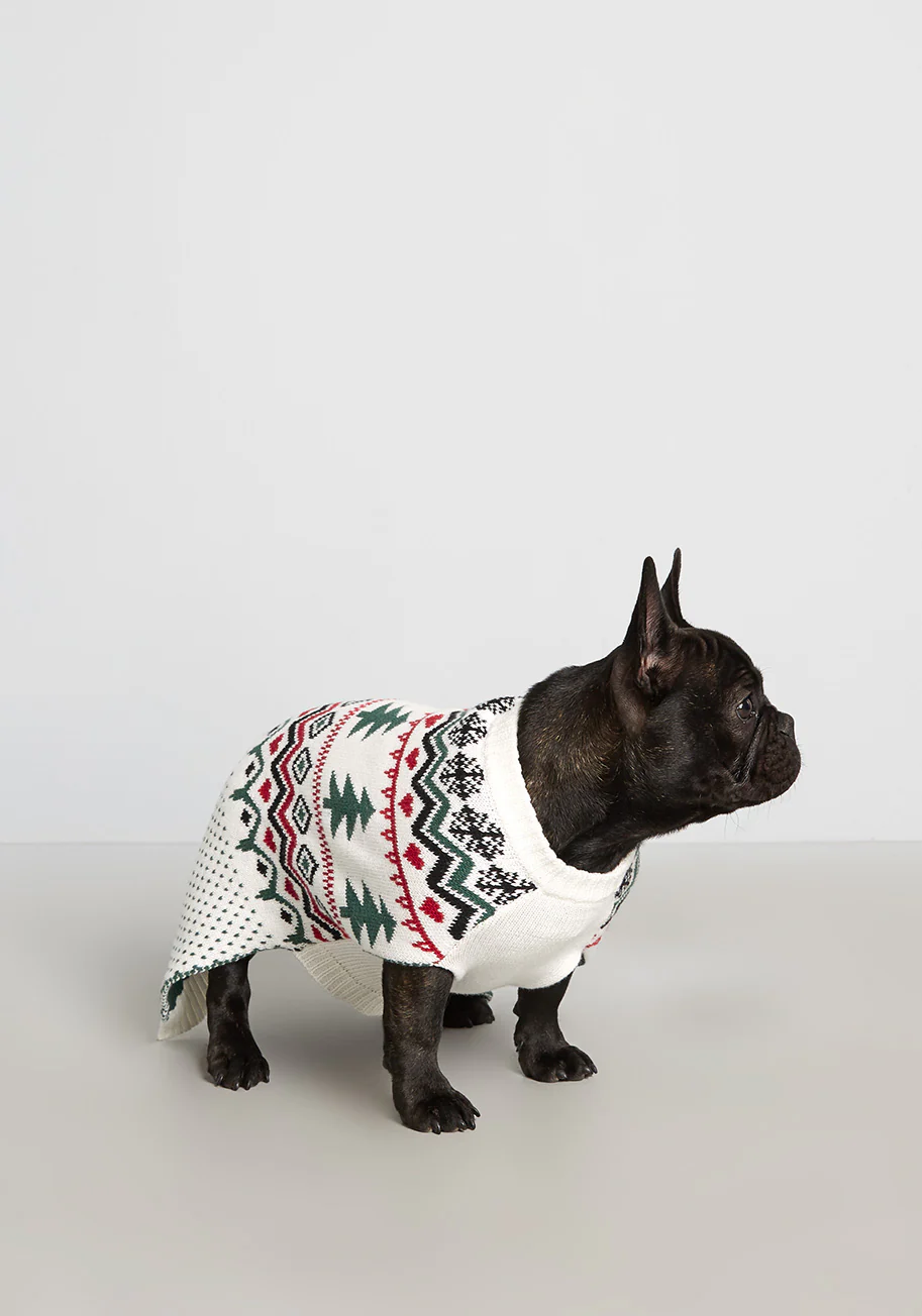 Evergreens and Snowbanks Fair Isle Pet Sweater - Olabens