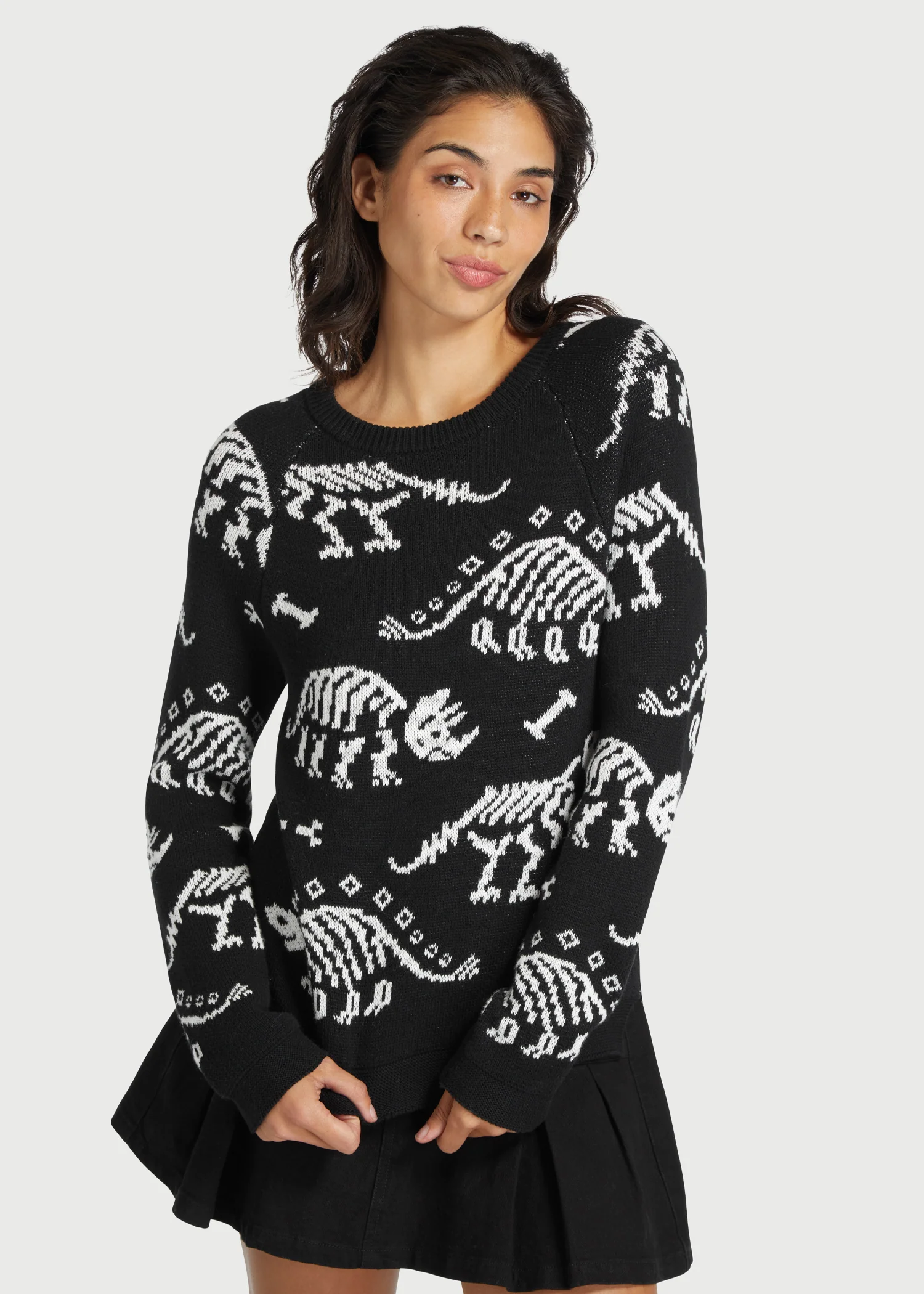 Dying For Dinos Sweater - Olabens