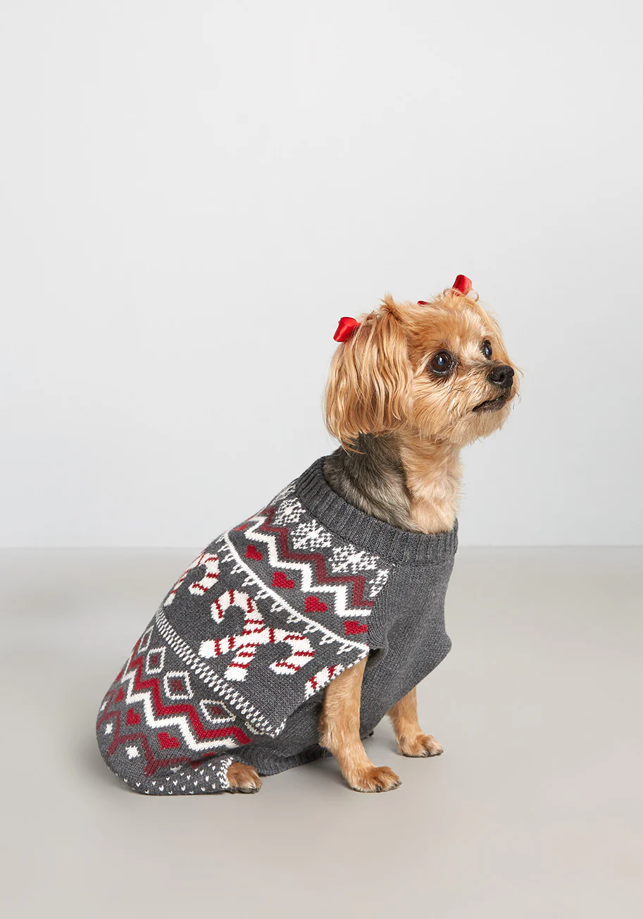 Candy Cane Crossroads Fair Isle Pet Sweater - Olabens