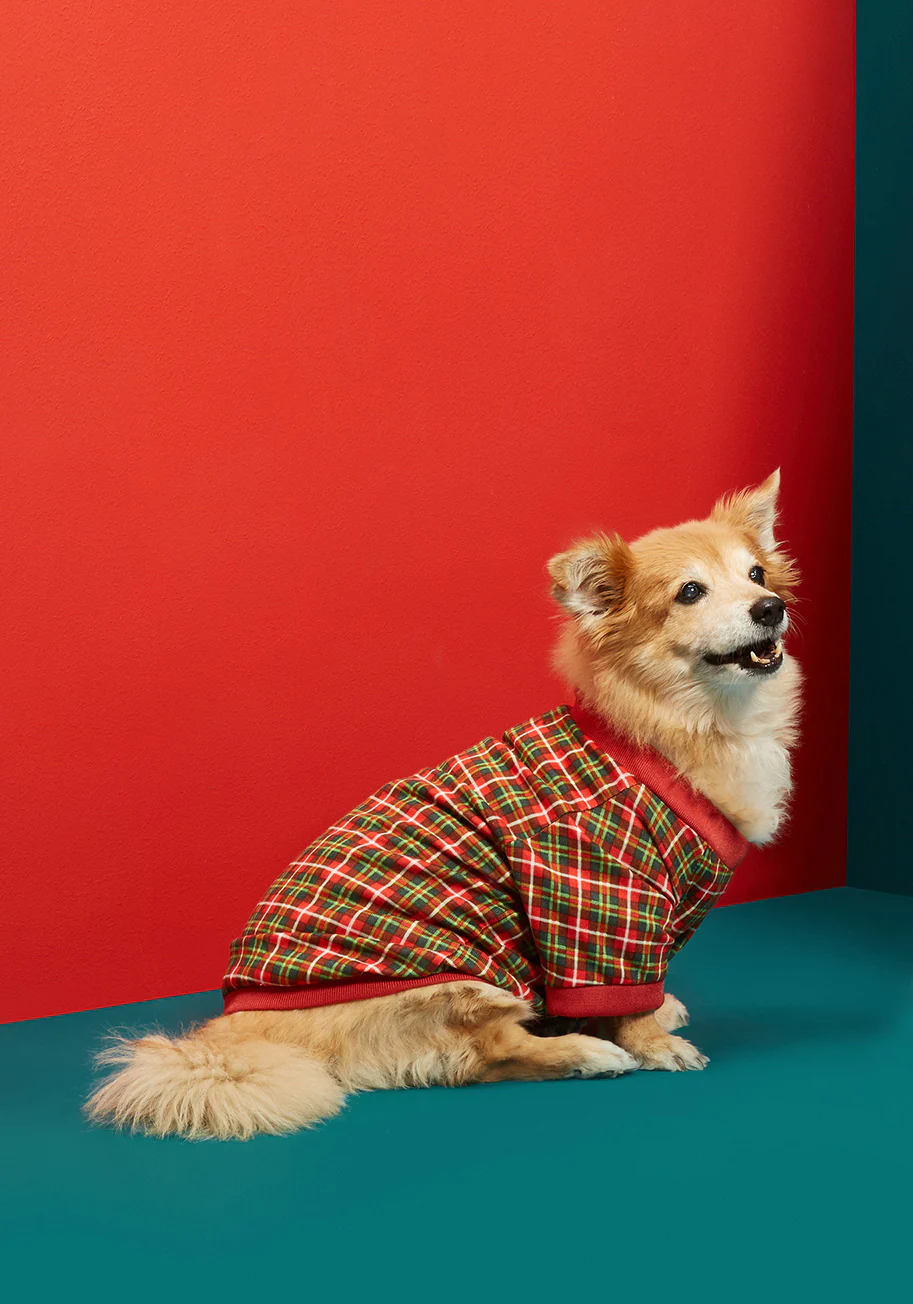 Plaid You're Mine Pet Tee - Olabens