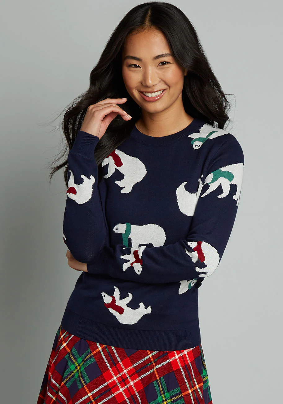 Polar Power Sweater - Olabens