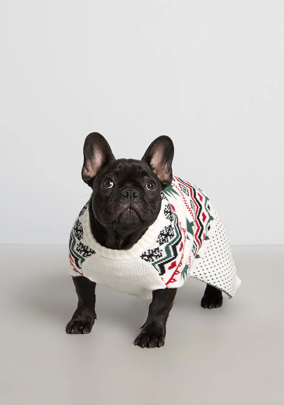 Evergreens and Snowbanks Fair Isle Pet Sweater - Olabens