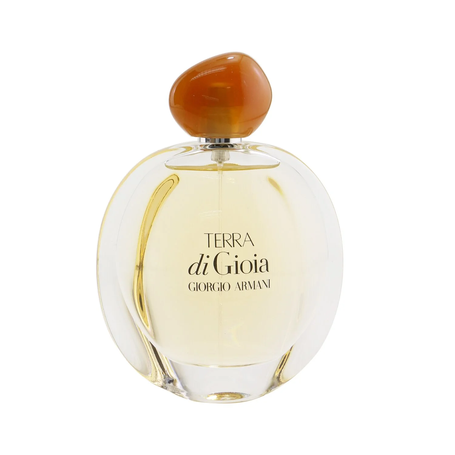 Giorgio Armani Terra Di Gioia Eau De Parfum Spray  100ml/3.4oz - Olabens
