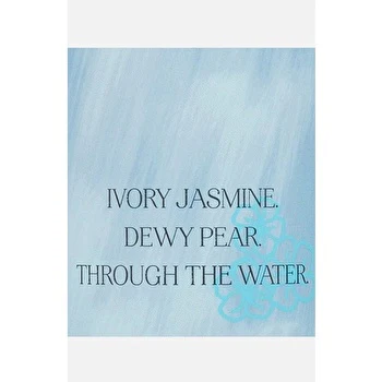 Victoria's Secret Jasmine Rainfall Woman 250ml Fragrance Mist - Olabens