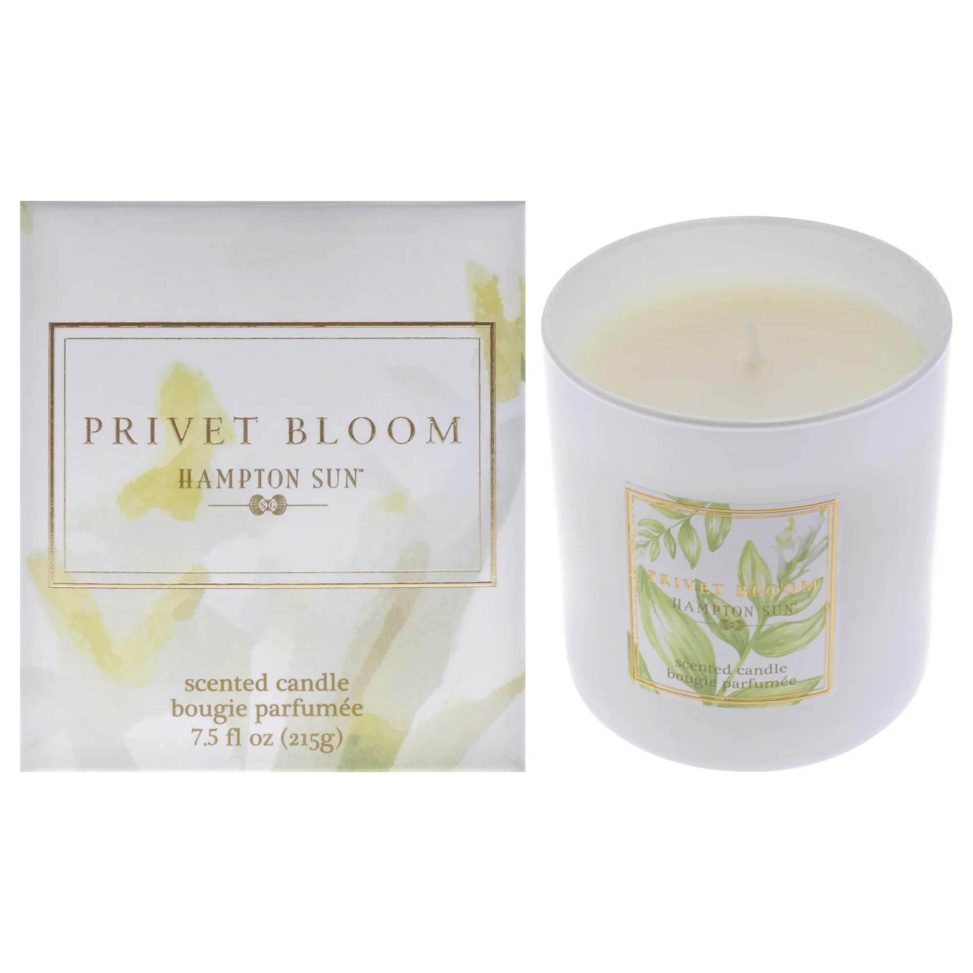 Privet Bloom Scented Candle by Hampton Sun for Unisex - 7.5 oz Candle - Olabens
