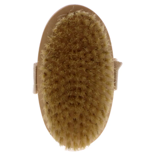 FantaSea Natural Bristle Body Brush by FantaSea for Unisex - 1 Pc Brush - Olabens