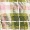 Hazel Check Skirt - Olabens