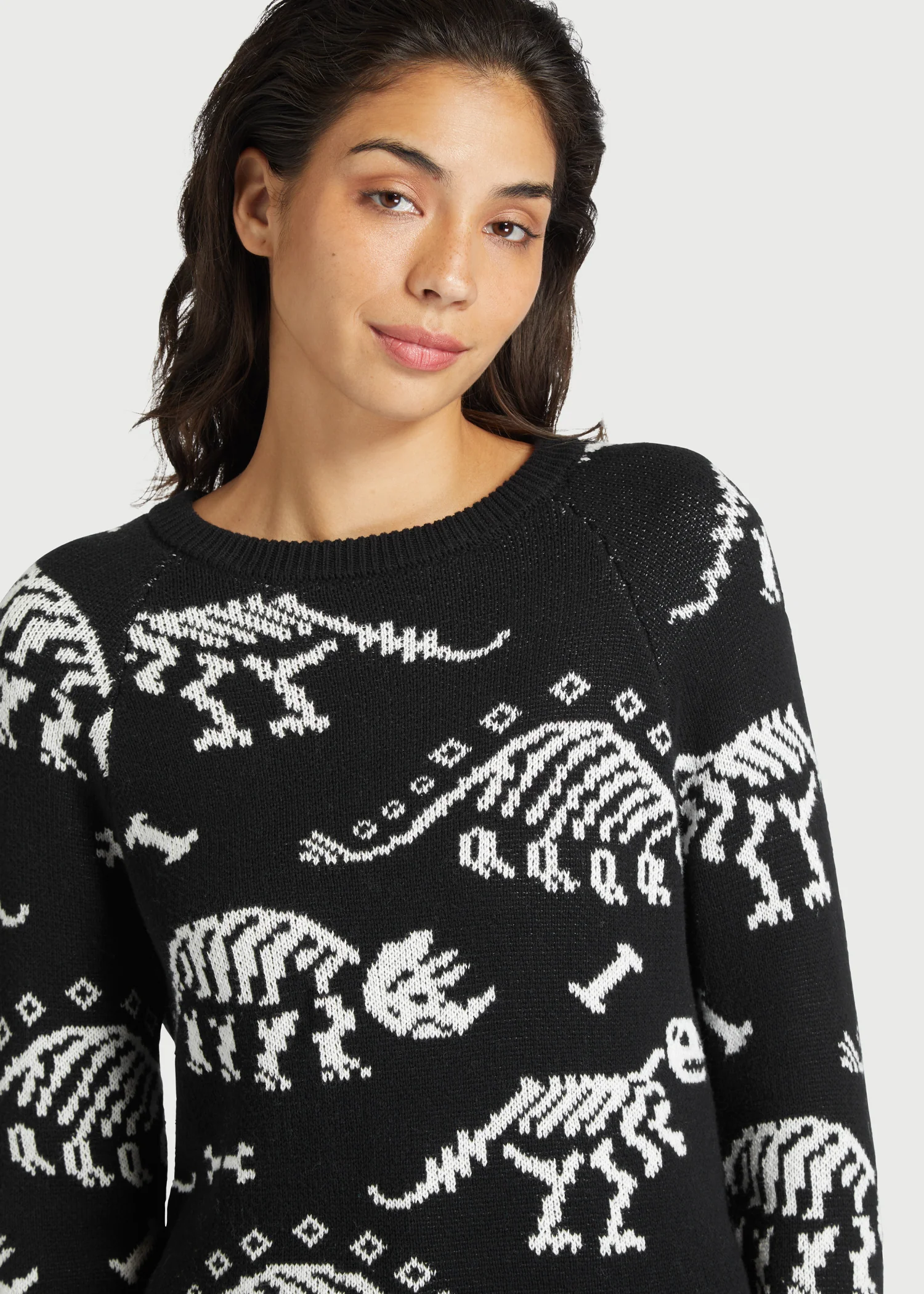 Dying For Dinos Sweater - Olabens