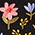 Garden Graces Embroidered Sweater - Olabens