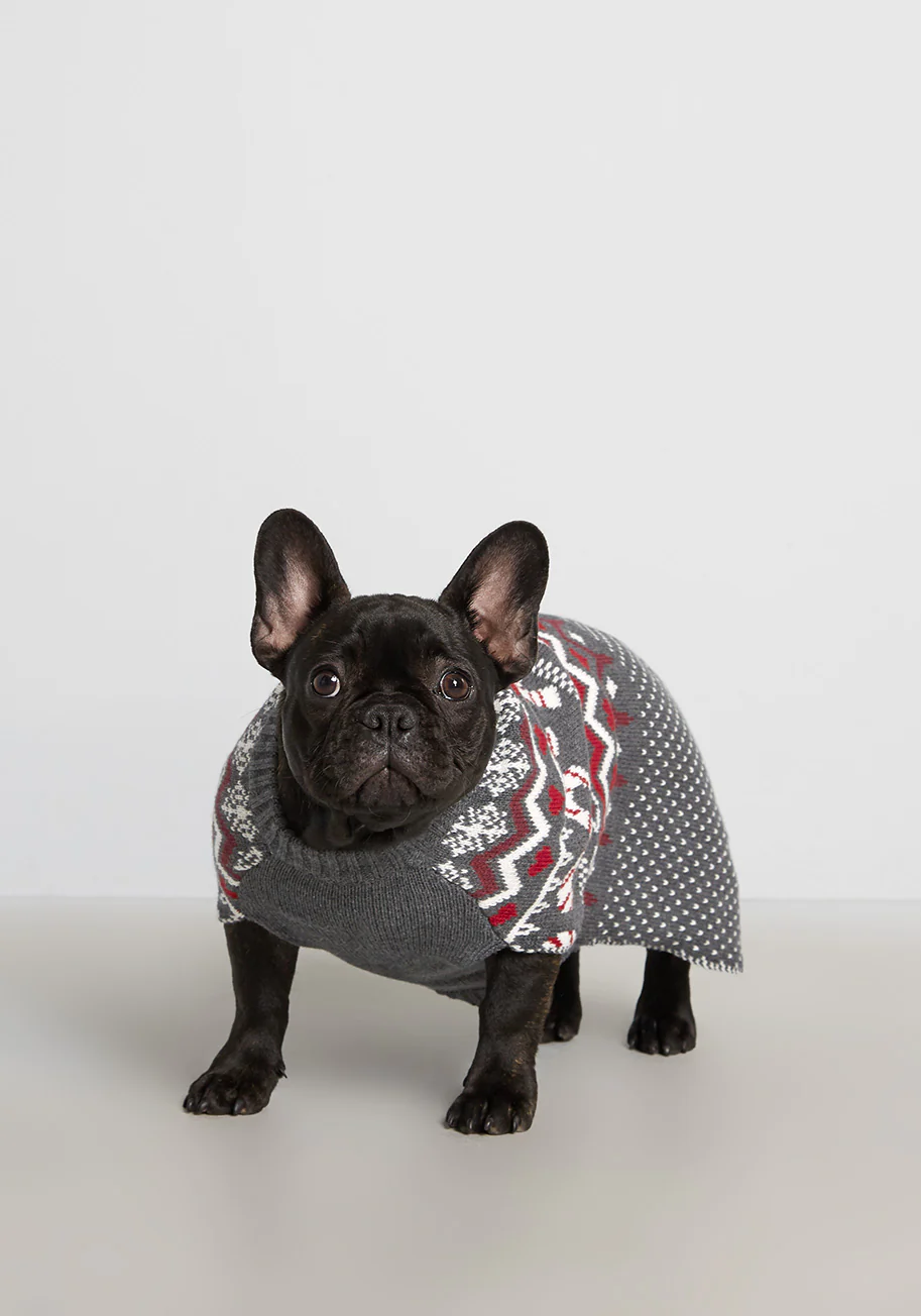 Candy Cane Crossroads Fair Isle Pet Sweater - Olabens