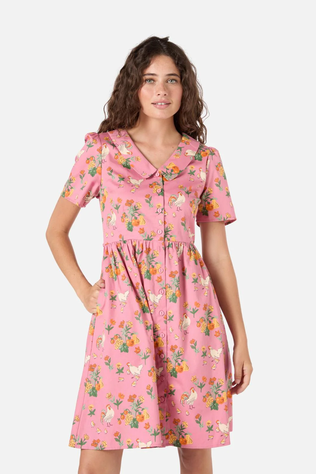 Chickens Mini Shirt Dress - Olabens