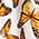 More Than Charming Cotton Skirt - Olabens