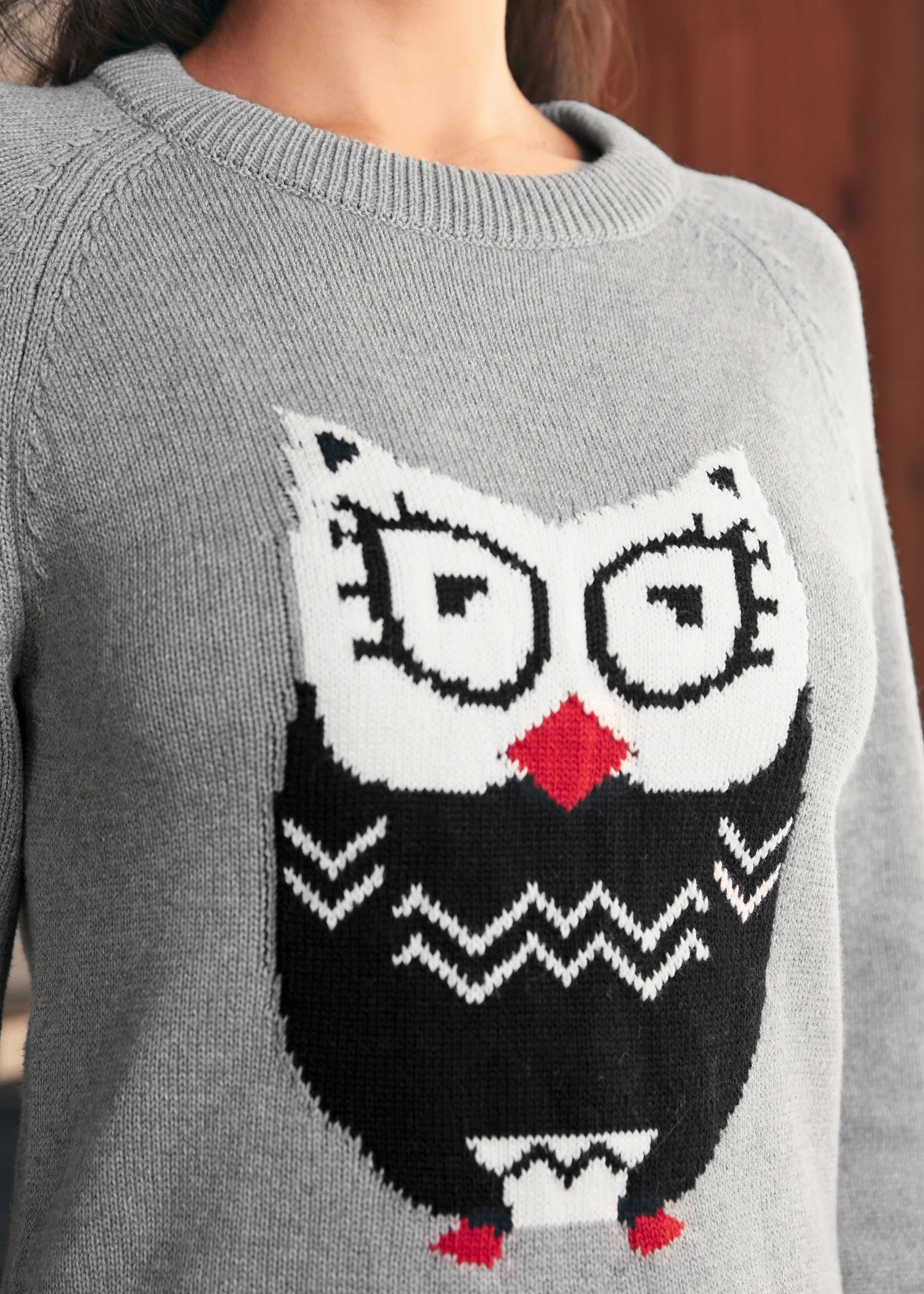 Full of Nostalgia Crewneck Pullover - Olabens