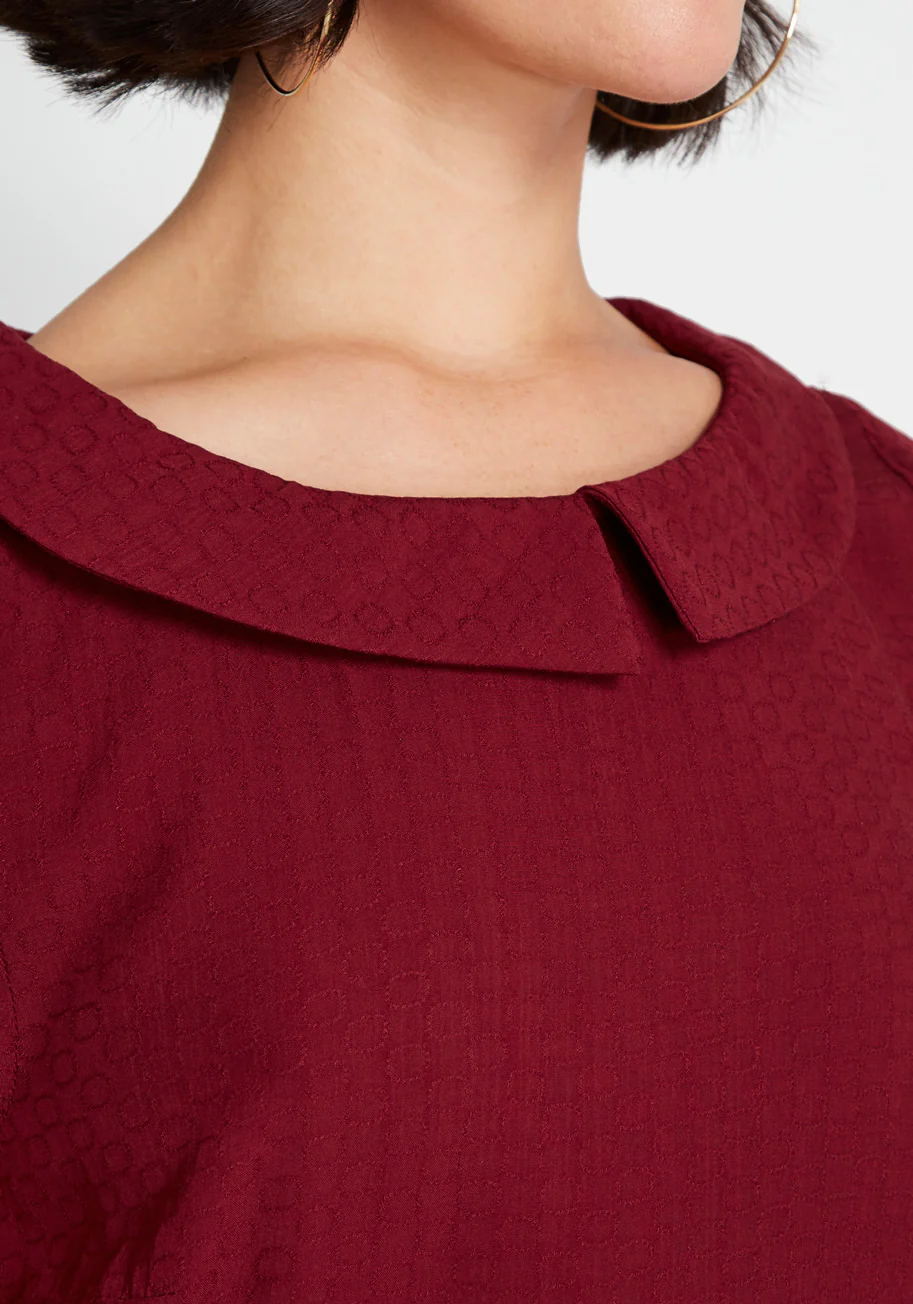 Adorable Around the Edges Collared Top - Olabens