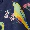 Parrot Shirt - Olabens