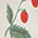 Sweet Baby Strawberries Sneaker - Olabens
