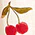 Cherries and Cream Wide-Leg Pants - Olabens