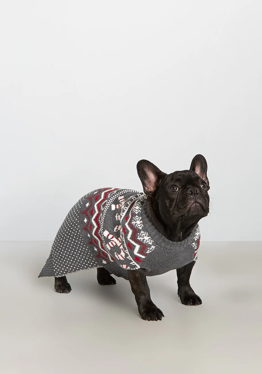 Candy Cane Crossroads Fair Isle Pet Sweater - Olabens
