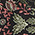 Floral Elegance Embroidered Coat - Olabens