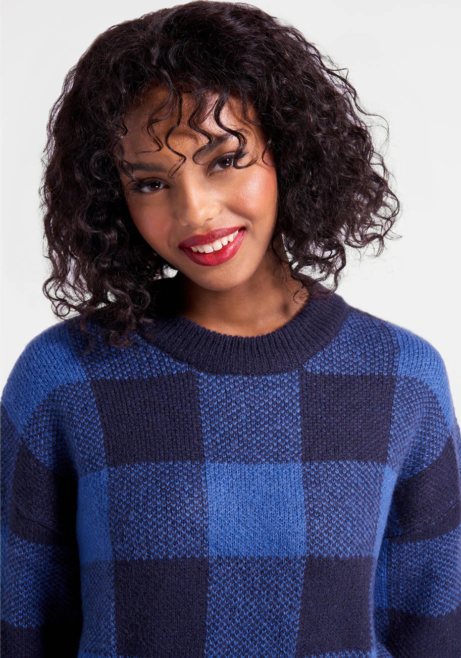 Check Magnet Sweater - Olabens