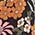 Showers For Flowers Rain Jacket - Olabens