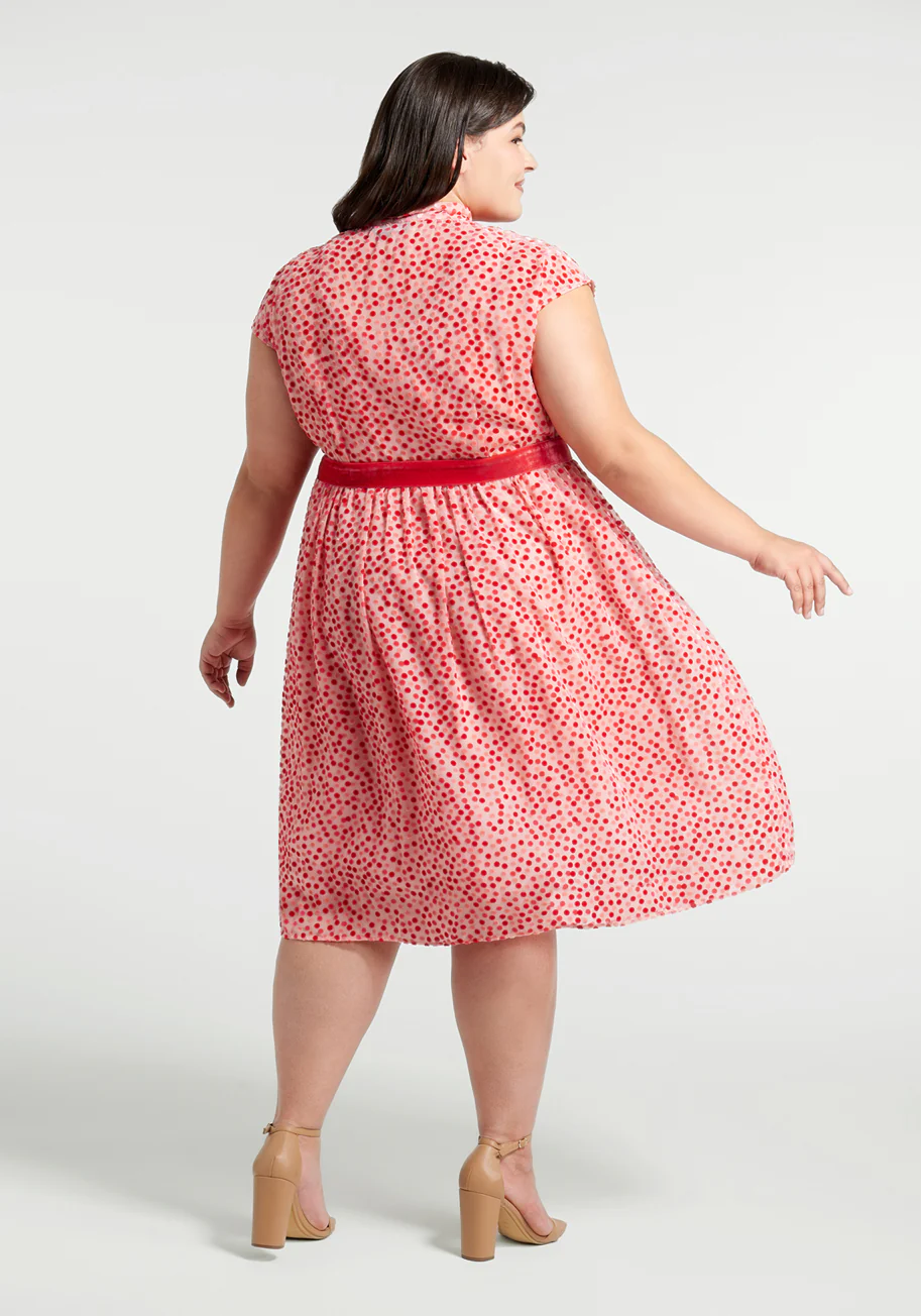 Confetti Confection Fit And Flare Dress - Olabens