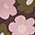 Isnyt x Princess Highway A Beautiful Bundle Graphic Sweater - Olabens
