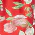 Love Blooms Eternal Dress - Olabens