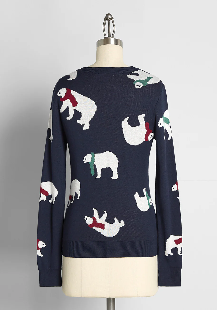 Polar Power Sweater - Olabens