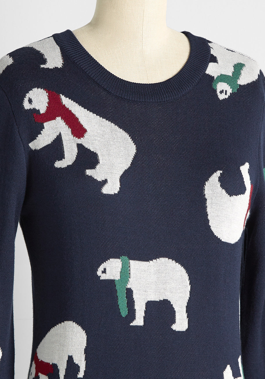 Polar Power Sweater - Olabens