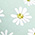 Trippy Daisies Heeled Slide Sandal - Olabens