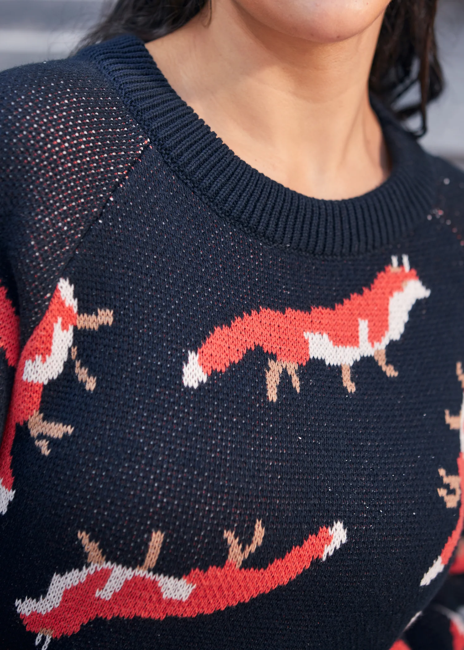 Full of Nostalgia Crewneck Pullover - Olabens