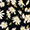 Sunbeam Seeker Cropped Pant - Olabens