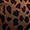 Leopard Hi-Low Empress Dress - Olabens
