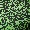 Acid Paisley Jersey Flares - Olabens