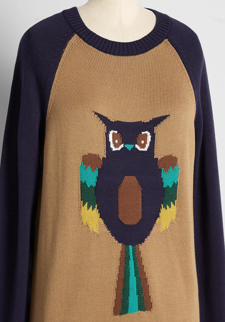 Owl-ways On My Mind Pullover Sweater - Olabens